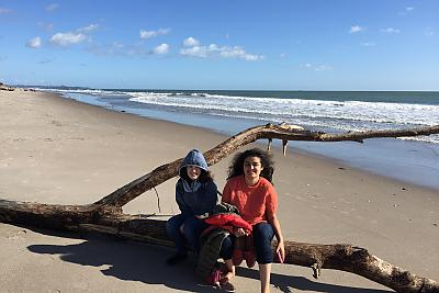 Students sitting on a log at the beach during a study abroad trip.