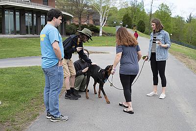 A group of students outside gathered around one of the therapy dogs and giving her attention. 
